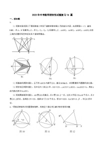 2024年中考数学探究性试题总复习--  圆（16）