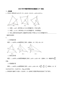 2024年中考数学探究性试题总复习-- 相似（19）