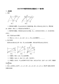 2024年中考数学探究性试题总复习-- 轴对称（17）