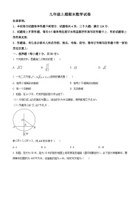 河南省新乡市辉县市2022-2023学年九年级上学期期末数学试题