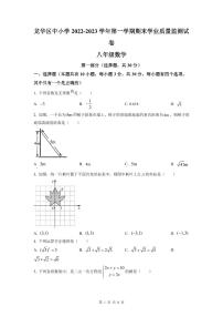 2022-2023深圳龙华区八年级（上）期末数学试卷