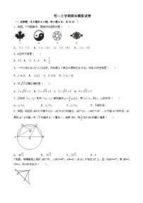 江苏省苏州市2023-2024学年上学期八年级期末数学模拟试卷+