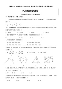 江苏省连云港市赣榆汇文双语学校2023-2024学年九年级上学期第三次质量检测数学试题