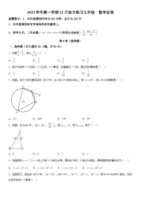 2023-2024学年浙江省湖州市安吉县九年级上册12月月考数学试题（含解析）