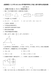 2023-2024学年四川省成都市成华区成都市第四十九中学校九年级上册期中数学试题（含解析）