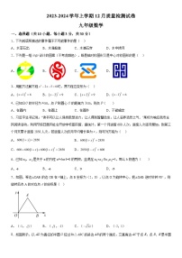 2023-2024学年湖北省武汉市卓刀泉中学九年级上册月考数学试题（含解析）