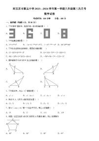 2023-2024学年新疆阿克苏地区阿克苏市九年级上册12月月考数学试题（含解析）