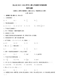 2023-2024学年四川省雅安市名山区名山中学七年级上册期中数学试题（含解析）