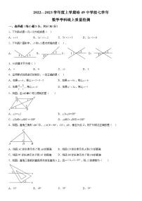 2022-2023学年黑龙江省哈尔滨市香坊区第四十九中学校七年级上册期中数学(五四制)试题（含解析）