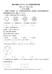 2023-2024学年湖北省随州市随县九年级上册联考数学试题（含解析）