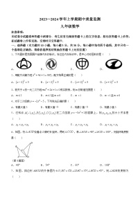 河南省许昌市长葛市2023-2024学年九年级上学期期中考试数学试题