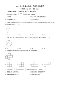 湖南省常德市桃源县文昌中学2022-2023学年九年级下学期月考数学试题