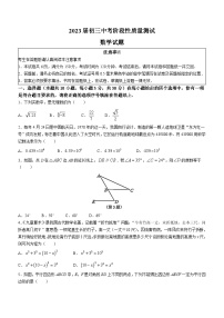 江苏省南通市启东市2022-2023学年九年级下学期3月月考数学试题