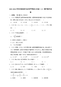 _河南省驻马店市平舆县2023-2024学年七年级上学期期中数学试卷