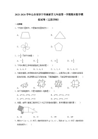 山东省济宁市高新区2023-2024学年（五四制）七年级上学期期末数学模拟试卷