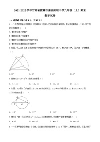 精品解析：甘肃省陇南市康县阳坝镇初级中学2021-2022学年九年级上学期期末数学试题（原卷版）