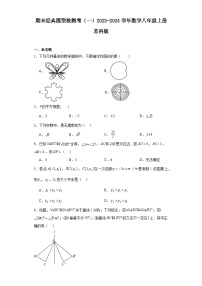 期末经典题型检测卷（一）2023-2024学年数学八年级上册苏科版