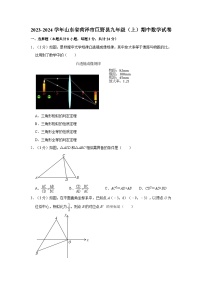 _山东省菏泽市巨野县2023-2024学年九年级上学期期中数学试卷