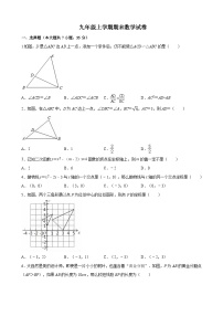 山东省聊城市阳谷县实验中学2023-2024学年九年级上学期+期末数学试卷