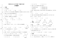 海南省 三亚市 崖州区三亚青林学校2023-2024学年 八年级上学期期中数学试卷