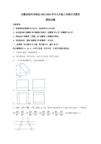 安徽省宿州市泗县2023-2024学年九年级上册月考数学模拟试题（附答案）