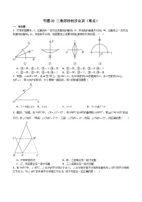 专题02 三角形的初步认识（难点）-2023-2024学年八年级数学上学期期中期末高分突破（浙教版）