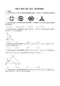 专题03 特殊三角形（重点，浙江期中精选）-2023-2024学年八年级数学上学期期中期末高分突破（浙教版）