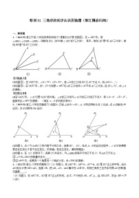 特训01 三角形的初步认识压轴题（浙江精品归纳）-2023-2024学年八年级数学上学期期中期末高分突破（浙教版）