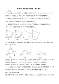 特训05 期中解答压轴题（浙江精选）-2023-2024学年八年级数学上学期期中期末高分突破（浙教版）