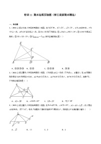 特训11 期末选填压轴题（浙江最新期末精选）-2023-2024学年八年级数学上学期期中期末高分突破（浙教版）