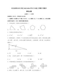 河北省邢台市仁泽区2023-2024学年八年级上册月考数学模拟试题（附答案）