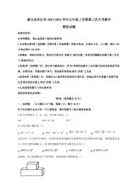 湖北省武汉市2023-2024学年七年级上册第三次月考数学模拟试题（附答案）