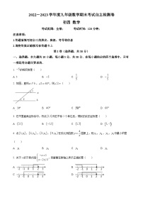 山东省济宁市太白湖新区2022-2023学年九年级下学期期末数学试题