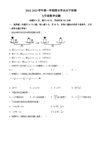 山东省聊城市冠县2022-2023学年七年级上学期期末数学试题