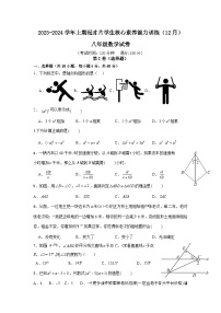 福建省龙岩市连城县冠豸片区2023-2024学年八年级上学期12月核心能力素养测试数学试题