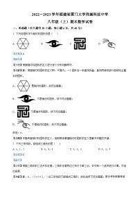 福建省厦门大学附属科技中学2022-2023学年八年级上学期期末数学试题