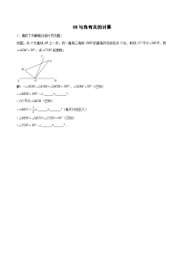 专题08 与角有关的计算-2023-2024学年七年级数学上册期末选填解答压轴题必刷专题训练（华师大版）