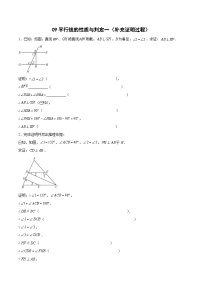 专题09 平行线的性质与判定一（补充证明过程）-2023-2024学年七年级数学上册期末选填解答压轴题必刷专题训练（华师大版）