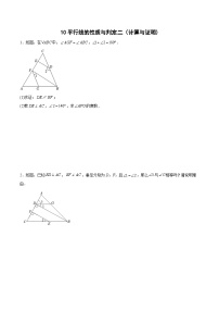 专题10 平行线的性质与判定二（计算与证明)-2023-2024学年七年级数学上册期末选填解答压轴题必刷专题训练（华师大版）