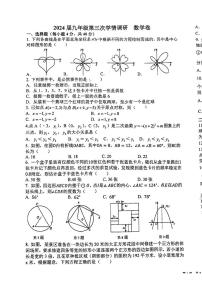 安徽省淮南市田家庵区朝阳中学、洞山中学联考2023-2024学年九年级上学期12月月考数学试题