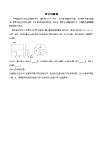 专题07 统计与概率-2023-2024学年九年级数学上册期末选填解答压轴题必刷专题训练（华师大版）