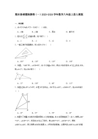 期末易错题检测卷（一）2023-2024学年数学八年级上册人教版