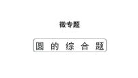 2024年四川省成都市九年级中考数学第一轮专题复习之第六章+微专题+圆的综合题+教学课件 (1)