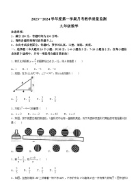 河北省保定市高碑店市2023-2024学年九年级上学期月考数学试题