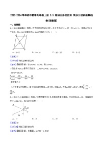 初中数学3.3 相似图形优秀练习