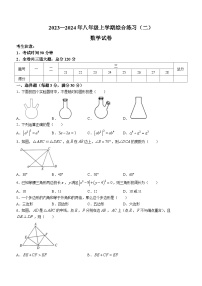 黑龙江省佳木斯市抚远市抚远市2023-2024学年八年级上学期期末数学试题(无答案)