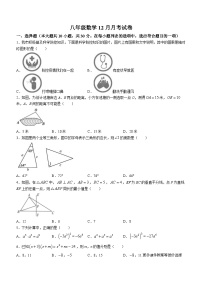 湖北省黄石市第十八中学2023-2024学年八年级上学期月考数学试题(无答案)