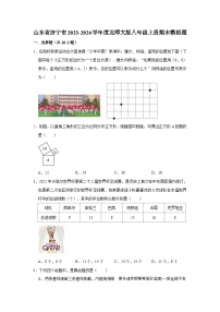 山东省济宁市2023-2024学年北师大版八年级上册期末数学模拟题