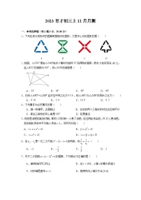 广东省+广州市越秀区育才中学2023-2024学年上学期12月月考九年级+数学试卷