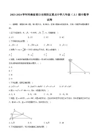 2023-2024学年河南省周口市淮阳区重点中学八年级（上）期中数学试卷（含解析）